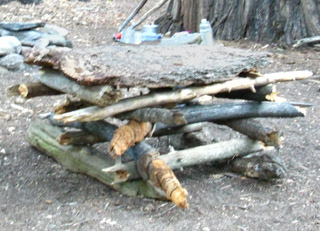 Camp Irene Table with bark table top.